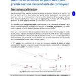 Grands convoyeurs descendants